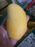 農(nóng)果傳橙源海南小臺農(nóng)芒果 當(dāng)季熱帶新鮮水果現(xiàn)摘純甜甜心芒中秋節(jié)禮品盒 8斤禮盒裝【送禮佳品】 【金獎A級果 京東配送】 曬單實拍圖
