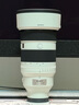 索尼（SONY）FE 50-150mm F2 GM 全畫幅遠(yuǎn)攝變焦G大師鏡頭 曬單實(shí)拍圖