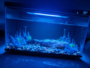 米家（MIJIA）智能生態(tài)魚(yú)缸還原自然生態(tài) 智能魚(yú)缸+濾芯套裝 曬單實(shí)拍圖