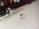 貓玩具貓咪自動逗貓球棒電動自嗨神器自己玩解悶貓貓小貓幼貓寵物 紅色自動逗寵球-動力升級款 曬單實(shí)拍圖