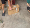 米家 小米電風(fēng)扇 落地扇家用7羽葉輕音大廣角大風(fēng)量遠(yuǎn)風(fēng)距臺(tái)地兩用遠(yuǎn)程智能控制 AI語(yǔ)音控制 曬單實(shí)拍圖