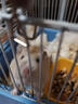 乖湃荷蘭豬沐浴露小寵專用洗澡哇米小動物沐浴液清潔留香波毛發(fā)清理 荷蘭豬沐浴露【1瓶/500ml】 曬單實拍圖