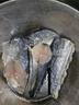 鲅魚段馬鮫魚塊鮐鲅魚塊鲅魚肉餡鲅魚水餃鲅魚新鮮鮮活海鮮批發(fā) 精品鲅魚4/6兩切段【三斤裝】 曬單實(shí)拍圖