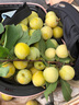 奧古獅登（Agsdon）老爹鞋女學(xué)生百搭休閑鞋透氣運(yùn)動(dòng)鞋增高鞋女鞋 221069 米色 36 曬單實(shí)拍圖