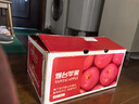 京鮮生 煙臺(tái)紅富士蘋果 凈重10斤 單果190g以上 生鮮水果 禮盒裝 曬單實(shí)拍圖