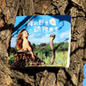 我的野生動物朋友 全新完整版 幼兒圖書 早教書 故事書 兒童書籍 我的野生動物朋友 全新完整版 曬單實(shí)拍圖