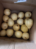 京喜加趙縣雪花梨河北正宗雪花梨【適合煲湯】 單果200g+ 帶箱9-10斤（凈重8.2斤） 曬單實(shí)拍圖