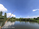 光威（GW）3.9米無法一本鯽本調(diào)鯽魚竿超輕超細(xì)魚竿手竿臺釣竿釣魚竿魚桿 曬單實拍圖