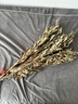 平直堂端午節(jié)新鮮艾草花束門(mén)掛干艾葉整棵艾草野生艾葉草干帶桿莖洗泡腳 整顆干艾葉約300顆 曬單實(shí)拍圖