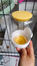 哲卜兔子飲水器倉鼠水壺兔子水壺飲水器喝水龍貓荷蘭豬滾珠喂水喂食器 滾珠飲水器-900ml【喝水不濕嘴】 曬單實拍圖