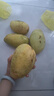 三萌果蔬金煌芒果 水仙大芒果新鮮芒果應(yīng)季水果海南盒子送禮整箱 凈重4.5-5斤精選裝 手挑超甄選果【單果約250g+】 曬單實拍圖