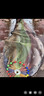 谷道香青魚(yú)餌料專(zhuān)攻青魚(yú)顆粒釣草魚(yú)黑坑專(zhuān)用餌料釣魚(yú)大物拋竿餌料鯉魚(yú)餌 【草魚(yú)殺手】味道濃郁 魚(yú)獲不止 曬單實(shí)拍圖