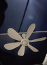 艾美特（AIRMATE）小吊扇學(xué)生宿舍床上電風(fēng)扇大風(fēng)力小風(fēng)扇蚊帳扇微風(fēng)吊扇電扇 標(biāo)準(zhǔn)款（線長1.8米） 標(biāo)準(zhǔn)款 曬單實拍圖