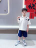 小豬班納男童套裝2025夏季新款polo衫撞色翻領短袖短褲親膚透氣時髦童裝 【清涼透氣運動系套裝】01 160 曬單實拍圖