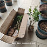 濃香型特級重瓣茉莉花大棵特大號老樁花卉綠植盆景B 苗場(chǎng)清場(chǎng)地 11年茉莉老樁一盆可泡茶 曬單實(shí)拍圖
