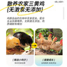 海藍鍋鍋團三黃雞肉 農(nóng)家散養(yǎng)走地雞 140天小母雞椰子雞火鍋生鮮雞肉 三黃雞【1只裝*750克】 曬單實拍圖