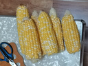 【云南高原玉米】現(xiàn)摘新鮮水果玉米新鮮甜玉米棒生鮮蔬菜可生吃 新鮮水果玉米 4斤 帶箱 300g起 曬單實拍圖