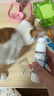 它為先 NEEDCAT費洛蒙貓咪信息素噴霧貓咪防應激噴霧情緒安撫 曬單實(shí)拍圖