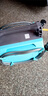 打藥機(jī)電動(dòng)噴霧器農(nóng)用高壓農(nóng)藥噴霧機(jī)大功率鋰電池手提式打藥泵 雙泵20安鋰電池頂配+50米高壓管 曬單實(shí)拍圖