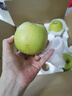 京鮮生 河北青翠蜜梨 凈重4.5斤 單果250g+ 青皇冠梨 生鮮水果 源頭直發(fā) 曬單實拍圖