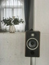FOCAL the spirit of sound勁浪音響VESTIA N1女神1號HIFI高保真書(shū)架音箱家庭影院環(huán)繞音響法國原產(chǎn)（咨詢(xún)客服在優(yōu)惠） 胡桃木色 曬單實(shí)拍圖