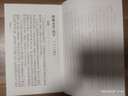 中興遺史輯校 中國史學(xué)基本典籍叢刊 中華書局 曬單實(shí)拍圖