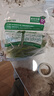 瘋狂水草魚缸水草植物直接入缸造景陰性水草種植環(huán)小九冠草*2源頭直發(fā)包郵 曬單實拍圖