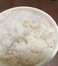 香納蘭正進(jìn)口泰國香米 泰國原糧進(jìn)口貓牙米24年新米長粒大米 純正泰米 2.5kg*1袋 曬單實(shí)拍圖