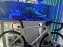 SPECIALIZED閃電 TARMAC SL7 SPORT 碳纖維競(jìng)速公路車 玫瑰粉/樺樹(shù)白 56 曬單實(shí)拍圖