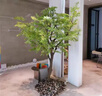 仿真綠植雞爪槭假楓樹假樹景觀造景櫥窗商場茶室櫥窗植物裝飾擺件 來圖定制 選擇款式聯(lián)系客服 曬單實拍圖