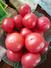 胖東來(lái)品質(zhì) 寧夏沙瓤西紅柿新鮮自然熟非普羅旺斯鐵皮西紅柿 現(xiàn)摘自然熟西紅柿 3斤 曬單實(shí)拍圖