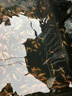 觀(guān)賞魚(yú)水霉凈魚(yú)缸專(zhuān)用白點(diǎn)凈錦鯉水霉藥白毛鸚鵡魚(yú)藥金魚(yú)殺菌消炎 【高濃度水霉凈】一瓶 曬單實(shí)拍圖
