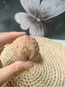 核桃山西汾陽(yáng)農家老樹(shù)孕婦堅果野生核桃原味核桃便宜散裝紙皮核桃 1500g老樹(shù)核桃 曬單實(shí)拍圖