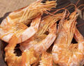 三關(guān)六碼頭寧波特產(chǎn)蝦干即食海鮮對蝦干貨無(wú)添加劑烤干蝦下酒菜海味零食 【嘗鮮裝】200g*1罐 曬單實(shí)拍圖