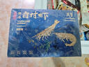 萬(wàn)景北海鮮凍白蝦國(guó)產(chǎn)白蝦 單凍無(wú)冰凈重4斤 100-120只 燒烤聚餐 海鮮 曬單實(shí)拍圖