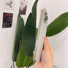 閃魔【靈敏無延遲】適用蘋果16Promax手機按鍵膜iPhone 16pro相機按鍵貼plus拍照按鈕保護膜順滑鋼化膜 【沙漠色|2片裝】0延遲防爆膜 iPhone 16 Pro & Pro Max 曬單實拍圖