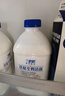 蘭格格草原酸奶 專(zhuān)利活菌1kg*4桶 產(chǎn)地烏蘭察布 源頭直發(fā) 曬單實(shí)拍圖