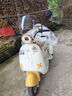 愛(ài)瑪愛(ài)瑪 元宇宙Q20 電動(dòng)車(chē)三輪車(chē)女士小型家用接送孩子成人代步車(chē) 【奶酪白】60V20AH鉛酸電池 曬單實(shí)拍圖