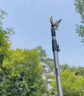極頂（GDEX）摘果神器 采摘器 櫻桃龍眼水果樹枝高空枝剪荔枝剪縮1.8米伸3米 曬單實拍圖