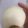 安徽正宗碭山酥梨梨子酥脆當(dāng)季新鮮水果香梨脆雪梨特產(chǎn)整箱包郵 凈重4.5斤【酥脆一號(hào)-口感更脆甜 曬單實(shí)拍圖