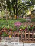 愛(ài)護花草提示牌公園綠化帶溫馨提示牌插地牌花草牌標識牌綠化帶標 小草青青 20x30cm 曬單實(shí)拍圖