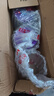 紐康特太益啟深度水解奶粉 含乳糖+益生菌HMO配方 牛奶蛋白過敏嬰兒適用 【單罐】太益啟HMO[0-12月] 曬單實(shí)拍圖