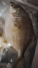 環(huán)球水產(chǎn) 南海金鯧魚(yú)700g 2條 BAP認(rèn)證深海魚(yú) 冷凍 生鮮魚(yú)類(lèi)海鮮 家庭聚餐 曬單實(shí)拍圖
