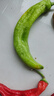 山東青椒尖椒薄皮辣椒虎皮辣椒現摘鮮青辣椒時(shí)令蔬菜農場(chǎng)直發(fā) 2斤 2斤 曬單實(shí)拍圖