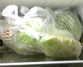 綠食者 生菜沙拉組合3.5斤 球生菜綠葉紅葉生菜苦菊奶油生菜 輕食蔬菜 曬單實(shí)拍圖