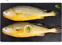 海名威 冷凍黃花魚700g/2條 寧德大黃魚地標(biāo) 海鮮水產(chǎn) 生鮮魚類  曬單實拍圖