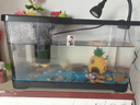 闊庭（KUOTING）魚缸水族箱生態(tài)桌面魚缸新款懶人魚缸生態(tài)造景過濾制氧一體機黑色 曬單實拍圖