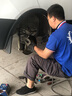 博世剎車(chē)片套裝 【后輪4片】適配 江淮瑞風(fēng)S3(14至20款)后盤(pán)剎款 曬單實(shí)拍圖