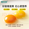 黔蛋無雙貴州富硒紅心雞蛋20/30/50枚裝 富硒蛋-50枚（每枚50克） 曬單實(shí)拍圖