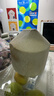 泰國椰青單粒900g 曬單實拍圖